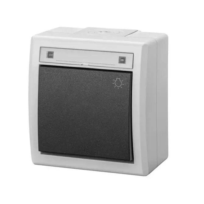 2K łącznik natynkowy zwierny światło IP55 szary | Aquant | 5004-10 1