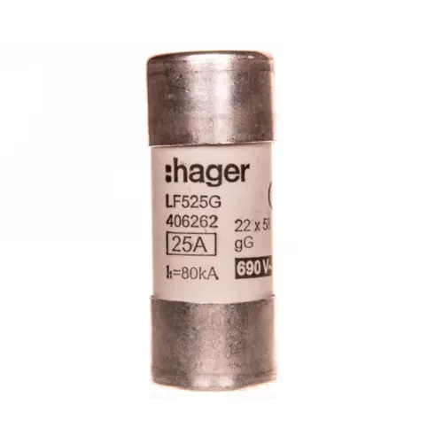 Bezpiecznik cylindryczny BiWtz 22x58 gG 25A | HAGER POLO | Weber | LF525G 1